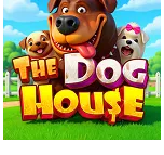 THE DOG HOUSE
